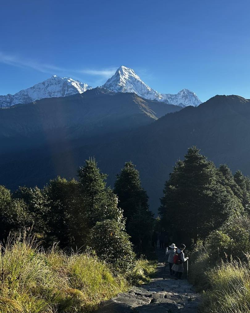 Trekking through a lush green jungle with a stunning view of the Himalayas, highlighting eco-friendly trekking in Nepal.