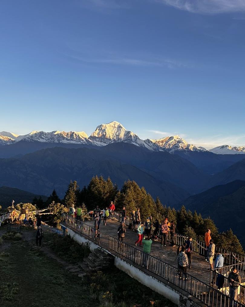 Morning view from Ghorepani Poonhill with the Dhaulagiri mountain range in the background, surrounded by blooming rhododendrons, perfect for a springtime trek.